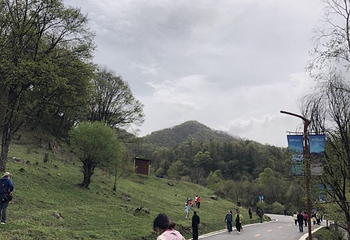 大水川第 20 张图片