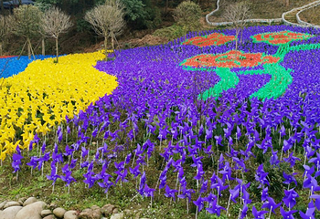 都江堰·玫瑰花溪谷第 15 张图片