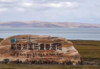 扎陵湖和鄂陵湖第 2 张图片