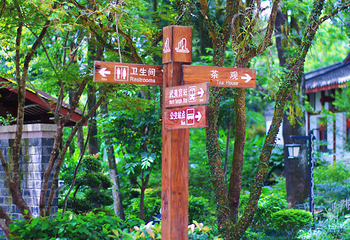 武夷山国家公园第 231 张图片