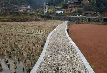 三山森林溪谷温泉第 20 张图片