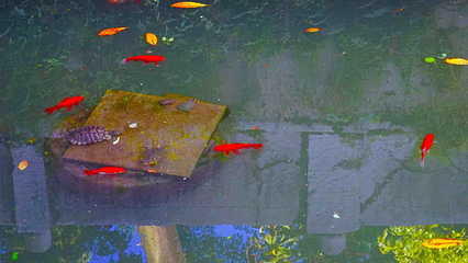能仁禅寺第 28 张图片