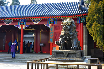 香山公园第 24 张图片