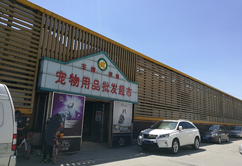 曹庄花卉市场第 8 张图片