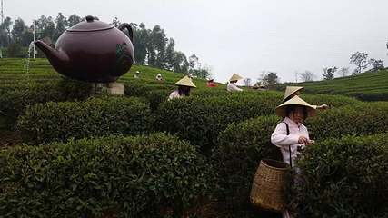 八国风情旅游度假区第 7 张图片