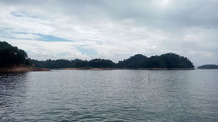 千岛湖城中湖休闲游第 22 张图片