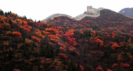 八达岭国家森林公园第 31 张图片