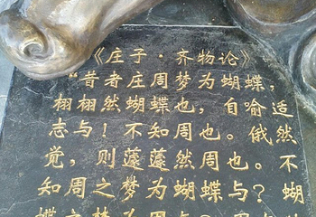 长沙飞鸟乐园第 53 张图片