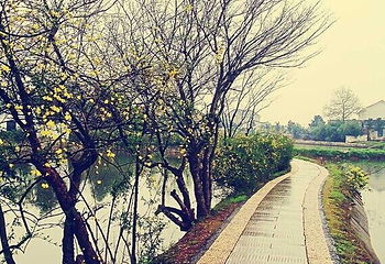 黄兴故居第 15 张图片
