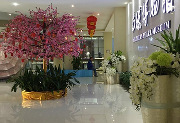 北海南珠博物馆第 36 张图片