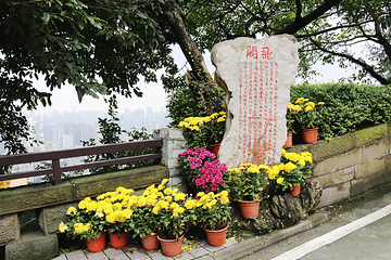鹅岭公园第 176 张图片
