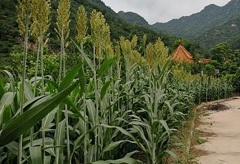 青龙潭第 9 张图片