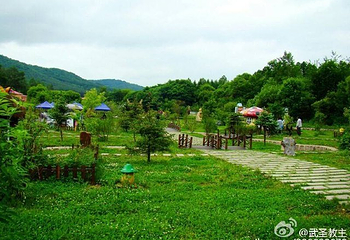 横道河子东北虎林园第 62 张图片