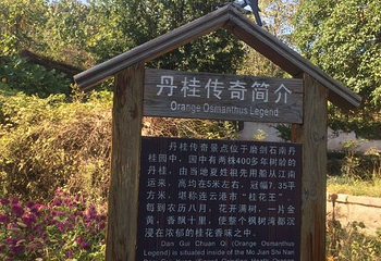 枫树湾第 15 张图片