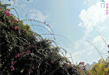 金榜公园第 10 张图片