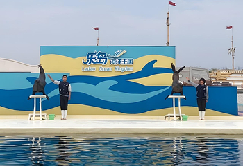 乐岛海洋王国第 57 张图片