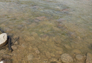 西海湾景区第 15 张图片