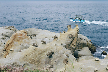 基隆和平岛地质公园第 19 张图片