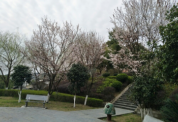 辰溪剿匪胜利公园第 4 张图片
