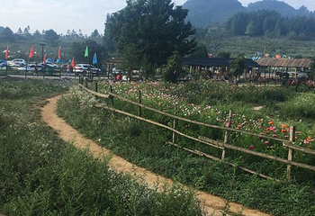 重庆千野草场景区第 39 张图片