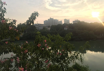 广西药用植物园第 33 张图片
