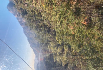 黄山云谷索道第 18 张图片