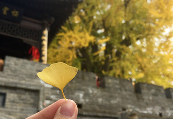 终南山观音禅寺第 18 张图片