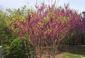 香溪洞第 13 张图片