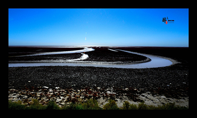 双台河口自然保护区第 14 张图片