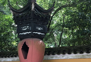 天童国家森林公园第 22 张图片