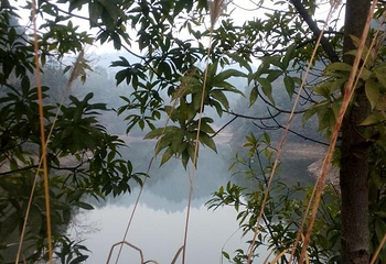 雨母山第 7 张图片