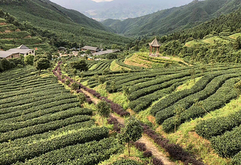 皇后山生态旅游度假区第 19 张图片