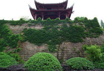 八咏楼第 21 张图片