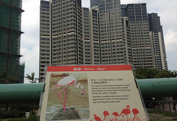 石排湾公园第 8 张图片