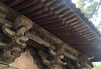 镇国寺第 102 张图片