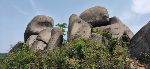 大罗山风景区第 41 张图片