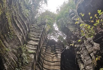 狮子关旅游区第 37 张图片