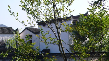 理坑村第 25 张图片