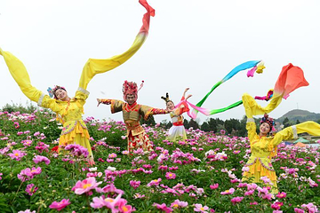 广兴芍药园第 19 张图片