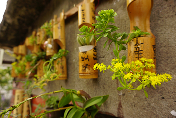 菁桐火车站第 7 张图片