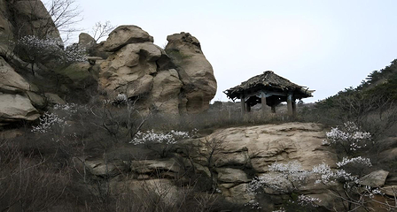 青岩寺风景区第 12 张图片