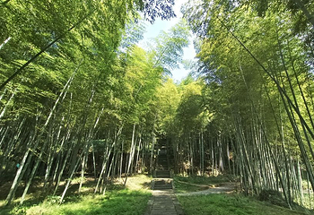仙华山景区第 29 张图片