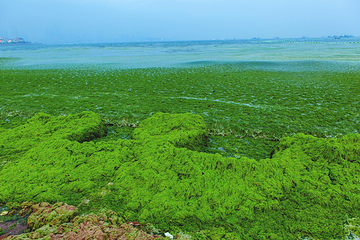 青岛第三海水浴场第 23 张图片