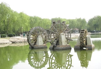阿尔丁植物园第 12 张图片