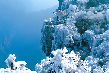 天门山国家森林公园第 38 张图片