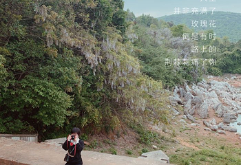 冶父山国家森林公园第 16 张图片
