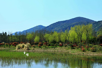 长广溪湿地公园第 19 张图片