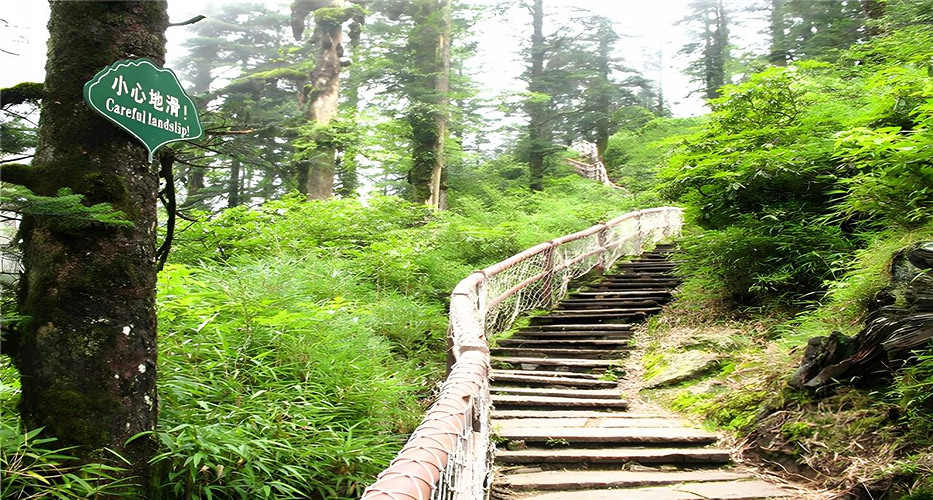 瓦屋山旅游