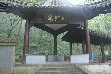 南山第 39 张图片