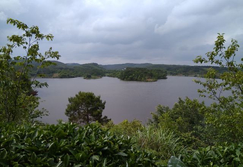 南宁花雨湖生态休闲旅游区第 11 张图片